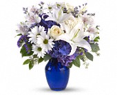 Beautiful in Blue in Midlothian�TX, Growing Ideas