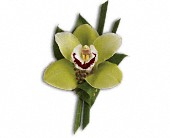 Green Orchid Boutonniere in Midlothian�TX, Growing Ideas