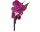 Perfect Purple Orchid Boutonniere in Midlothian�TX, Growing Ideas