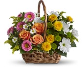 Sweet Tranquility Basket in Midlothian, Texas, Growing Ideas