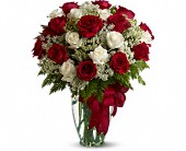 Love's Divine - 20 Premium Long Stemmed Roses in Midlothian�TX, Growing Ideas