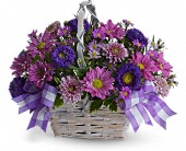Daisy Daydreams in Midlothian�TX, Growing Ideas