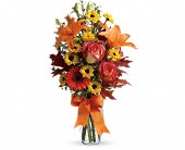 Burst of Autumn in Midlothian TX, Growing Ideas