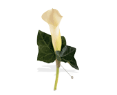 Miniature Calla Boutonniere in Midlothian�TX, Growing Ideas