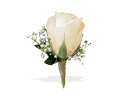 White Rose and Baby's Breath Boutonniere in Midlothian�TX, Growing Ideas