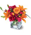 Orange lilies and pink roses in a cube in Midlothian TX Growing Ideas