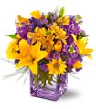 Teleflora�s Morning Sunrise Bouquet in Midlothian TX Growing Ideas