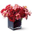 Teleflora's Wild Berry in Midlothian TX Growing Ideas