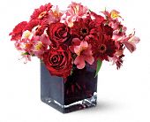 Growing Ideas, Midlothian, Texas - Teleflora's Wild Berry, picture