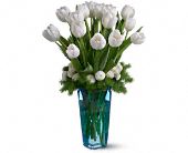 Growing Ideas, Midlothian, Texas - Winter White Tulips, picture