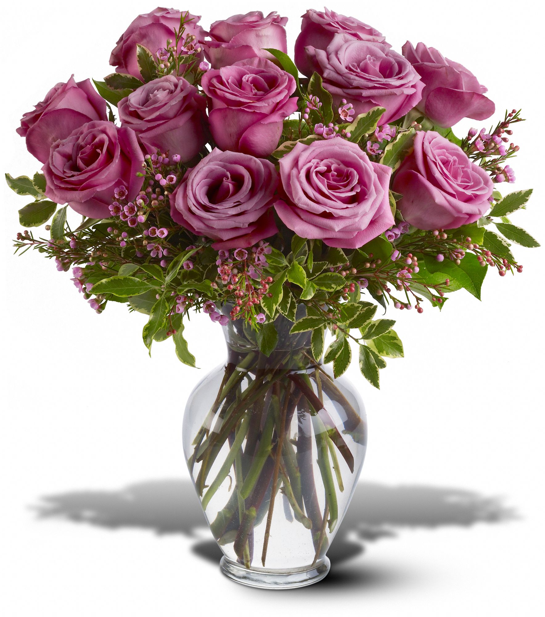 A Dozen Lavender Roses in Midlothian TX Growing Ideas