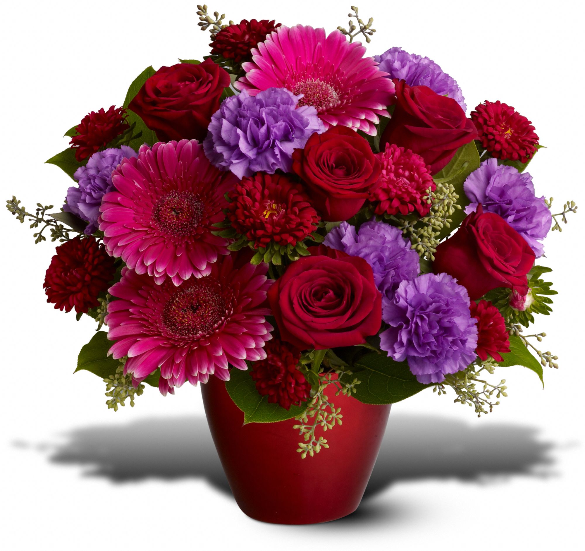 Cupid's Kiss in Midlothian TX Growing Ideas
