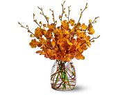 Growing Ideas, Midlothian, Texas - Orchid Embers, picture