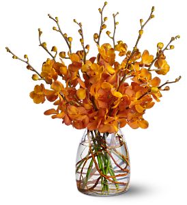 Growing Ideas, Midlothian, Texas - Orchid Embers, picture