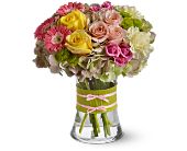 Growing Ideas, Midlothian, Texas - Fashionista Blooms, picture