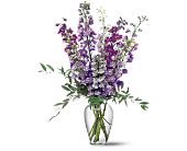 Growing Ideas, Midlothian, Texas - Delphinium Dreams, picture