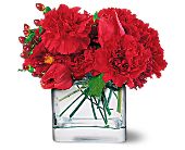 Growing Ideas, Midlothian, Texas - Passionate Reds, picture