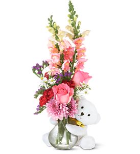 Growing Ideas, Midlothian, Texas - Teleflora's Bear Hug Bear with Pink Roses, picture