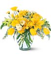 Sunshine Express in Midlothian TX Growing Ideas