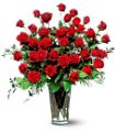 Three Dozen Red Roses in Midlothian TX Growing Ideas