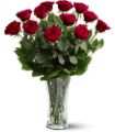 A Dozen Premium Red Roses in Midlothian TX Growing Ideas