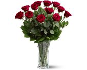 A Dozen Premium Red Roses, picture
