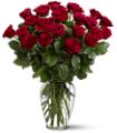 Two Dozen Red Roses in Midlothian TX Growing Ideas