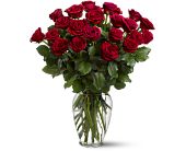 Growing Ideas, Midlothian, Texas - Two Dozen Red Roses, picture