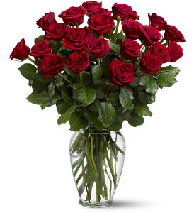 Growing Ideas, Midlothian, Texas - Two Dozen Red Roses, picture