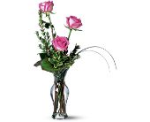 Growing Ideas, Midlothian, Texas - Tender Trio, picture