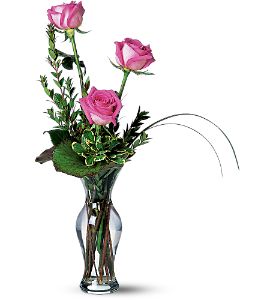 Growing Ideas, Midlothian, Texas - Tender Trio, picture