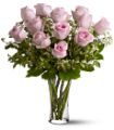 A Dozen Pink Roses in Midlothian TX Growing Ideas