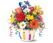 Teleflora's Birthday Celebration, picture