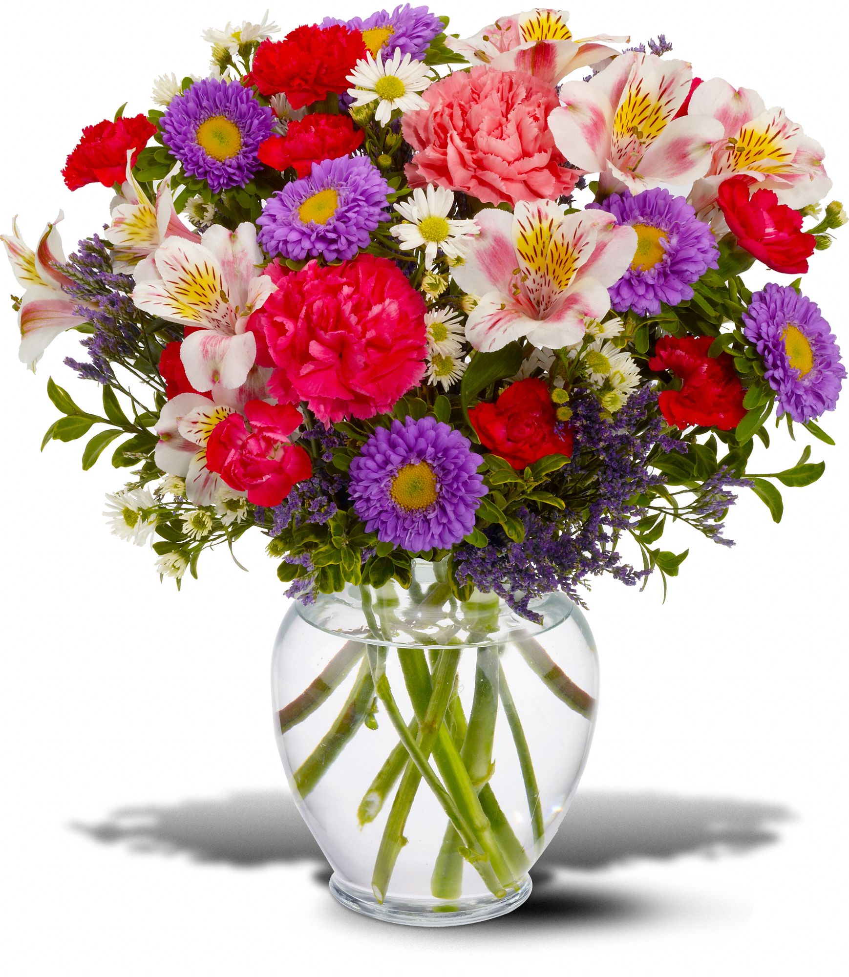 Birthday Wishes in Midlothian TX Growing Ideas
