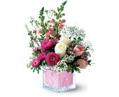 Growing Ideas, Midlothian, Texas - Teleflora's Crystal Baby Block (Girl), picture