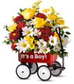 Teleflora's Baby's First Wagon - Boy in Midlothian TX Growing Ideas