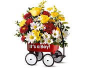Teleflora's Baby's First Wagon - Boy, picture
