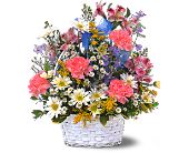 Growing Ideas, Midlothian, Texas - Jubilee Basket, picture