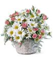 Posy Basket in Midlothian TX Growing Ideas