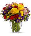 Brighten Your Day in Midlothian TX Growing Ideas