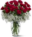 Field of Roses in Midlothian TX Growing Ideas