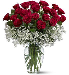 Growing Ideas, Midlothian, Texas - Field of Roses, picture