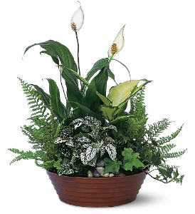 Growing Ideas, Midlothian, Texas - White Garden, picture