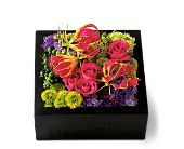 Growing Ideas, Midlothian, Texas - Pav� Texture Square, picture