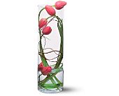 Growing Ideas, Midlothian, Texas - Tulip Under Glass, picture