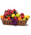 Plant and Fruit Basket in Midlothian TX Growing Ideas