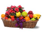Plant and Fruit Basket, picture