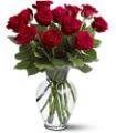 12 Red Roses in Midlothian TX Growing Ideas