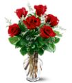 6 Red Roses in Midlothian TX Growing Ideas