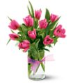 Spring Tulips - Hot Pink in Midlothian TX Growing Ideas